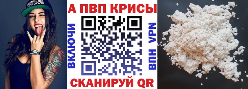 Альфа ПВП СК КРИС  блэк спрут рабочий сайт  Тара 