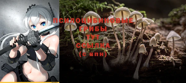 МДПВ Алексеевка