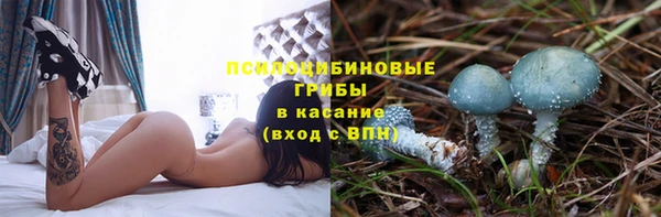 ГАЛЛЮЦИНОГЕННЫЕ ГРИБЫ Алзамай