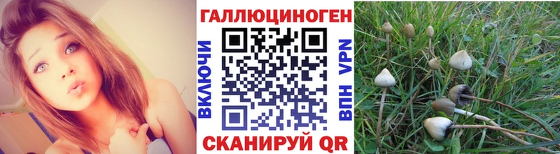 ссылка на мегу как войти  Тара  Галлюциногенные грибы GOLDEN TEACHER 