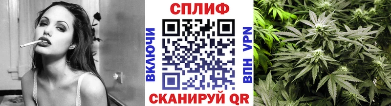 Канабис Amnesia  Тара 